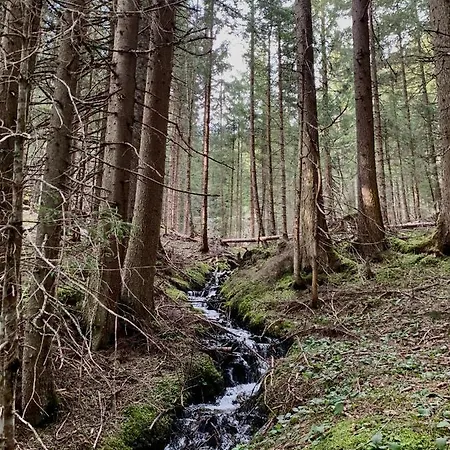 Ξενοδοχείο Alpina 3*