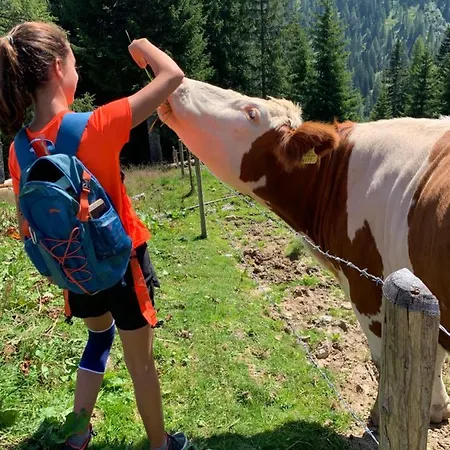 Ξενοδοχείο Alpina 3*