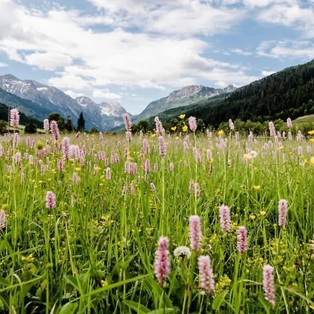 Ξενοδοχείο Alpina