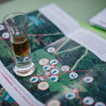 Ξενοδοχείο Alpina Kleinarl