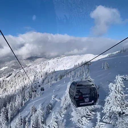 Hotel Alpina 3*
