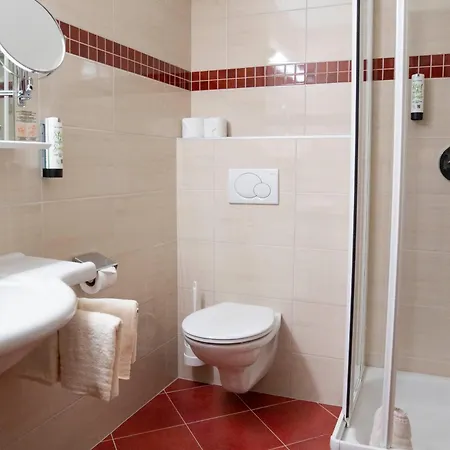 Otel Alpina 3*