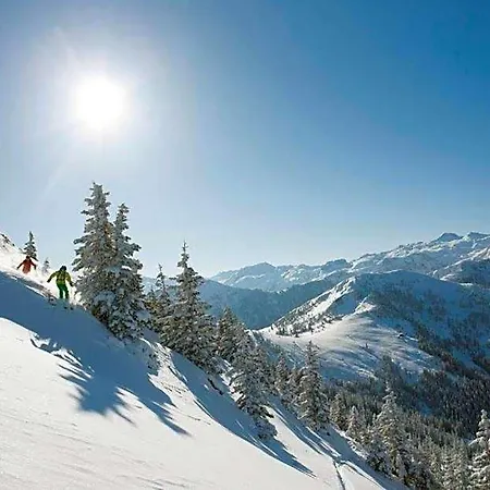 Otel Alpina