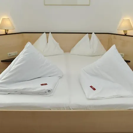 Otel Alpina 3*